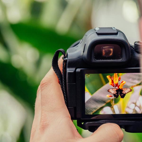 Photo camera